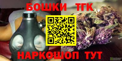прущий лед Кингисепп