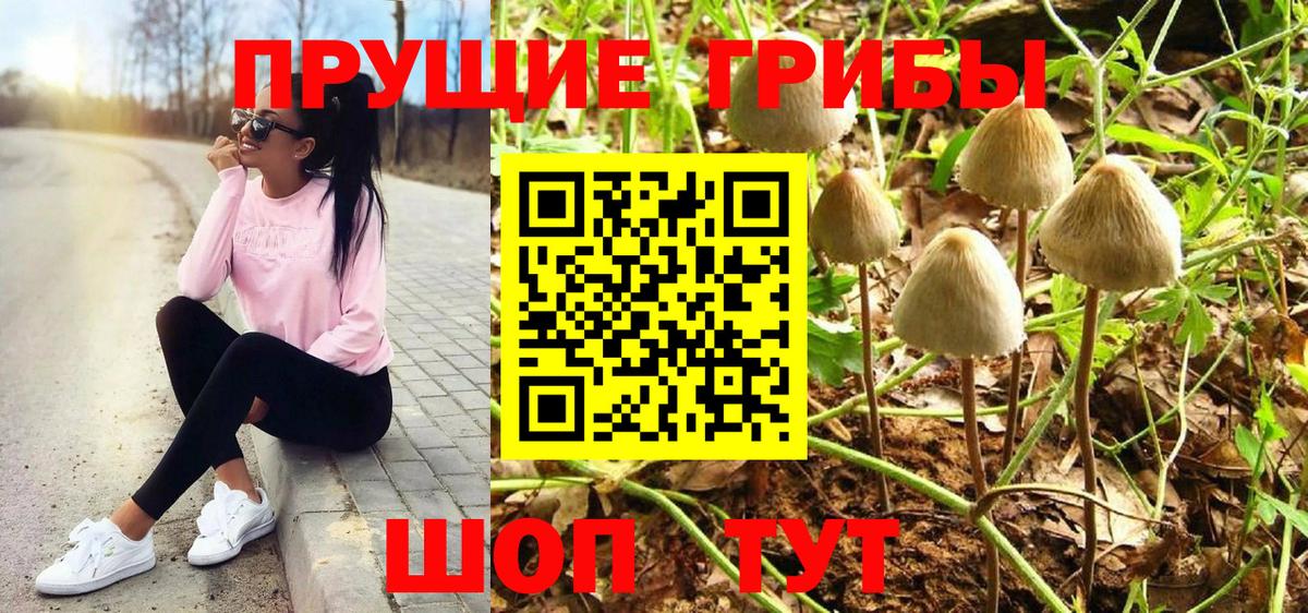 Псилоцибиновые грибы MAGIC MUSHROOMS Коркино