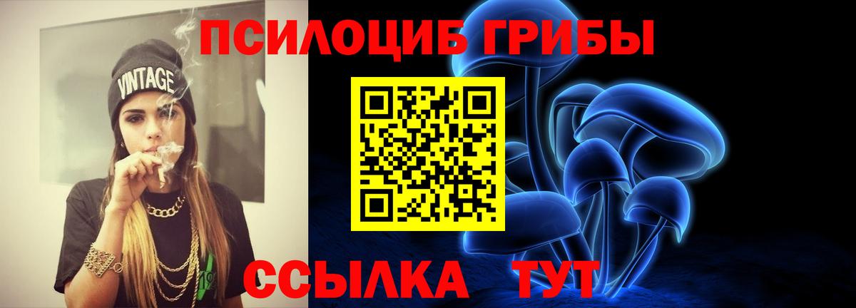 Галлюциногенные грибы прущие грибы  Вход с VPN  Галлюциногенные грибы прущие грибы  Коркино 
